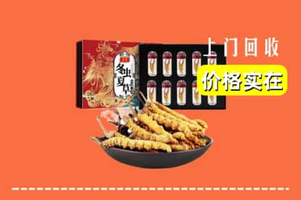 中山市南朗镇回收冬虫夏草